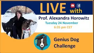 Alexandra Horowitz on the Genius Dog Challenge
