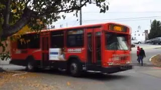 Rabbit Transit | Transfer Station Bus Action! (York,PA)