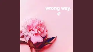 Wrong Way