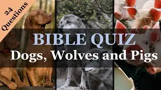Bible Quiz: Dogs, Wolves and Pigs