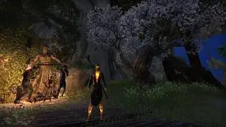 Animation Canceling and Light Attack Weaving in ESO