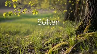 🌿Soften &ndash; 1 Hour Open Meditation for Gentle Breathing & Inner Space