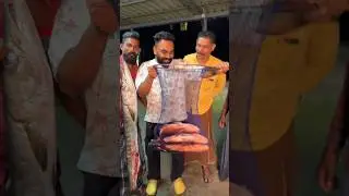 Fresh Catch Fish🐟 | From Vaadi Harbour 🔥| Donad duck | 🙌Sea food | Varieties | Beach | Kollam 🙌