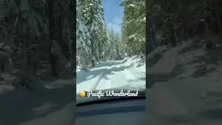 Oregon Snow #travel #snow #oregon