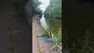 Stoke canal #stokeontrent #whatabeautifuldaytogooutside #canal #staffordshire #heritage