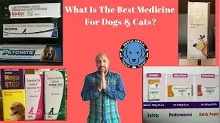 First-aid for your Pet | What and How  Is The Best Medicine For Dogs | Puppys & Cats?