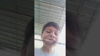 kabop
