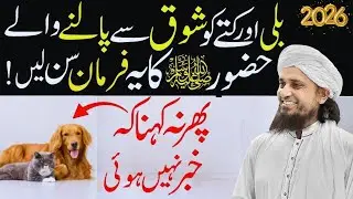 Billi Ka Hukam Aur Kutta Ka Masla &mdash; Ghar Me Rahmat Ka Sawal | Mufti Tariq Masood