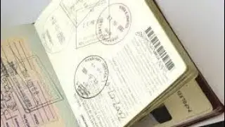 Заявки на получение разрешений в ЮАР: Недоступность мест для бронирования. Что происходит на само...