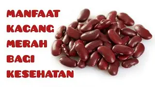 MANFAAT KACANG MERAH BAGI KESEHATAN || BENEFITS OF RED BEANS FOR HEALTH