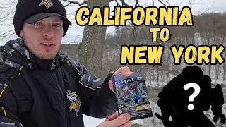 I traveled the UNITED STATES looking for HALO MEGA!!
