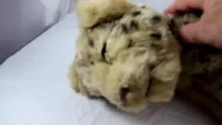 WowWee Leopard