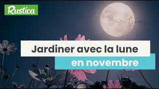Jardiner avec la lune en novembre