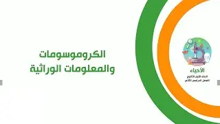 الكروموسومات والمعلومات الوراثية