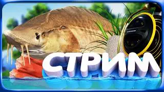 РР4 СТРИМ &bull; ДНЕВНОЙ ФАРМ на ОСЕТРАХ на ТУНГУСКЕ и АХТУБЕ!