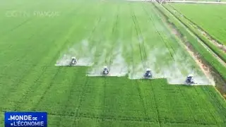 La production céréalière de la Chine atteint 714,9 millions de tonnes