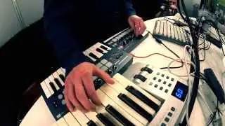Wassily &laquo;Bitzgi&raquo; - Live bei SRF Virus