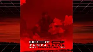 Best Of Tumzanator: 100% Production Mix