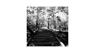 Big Cypress Boardwalk