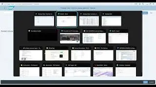 SAP Parallel Currency, Currency Types, where to find them, how to set it up