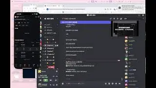 SmartOption 美股小猫咪 期权自动交易