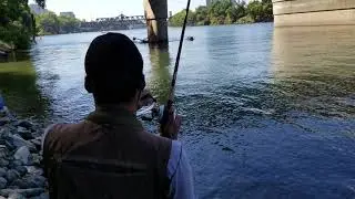 Discovery park Sacramento salmon fishing 2018