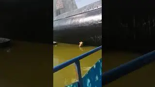 Submarine😲😳😯in Karachi Maritime Museum #shorts #youtubeshorts #viral #karachi