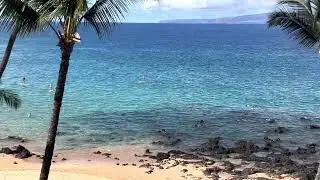 SUP board paddlers and snorkelers at the Mana Kai Maui resort   |   Views from Mana Kai #402