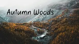Autumn Woods | Beautiful Chill Mix