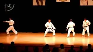 (Matsumura no) Seisan Kata Bunkai   「松村の」十三 型 分解 「少林流聖武館」