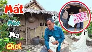 Bị Mất Bé Mèo Lúc Nửa Đêm Cả Nhà Hoản..g Hốt Nghĩ Là M..a Chơi / Quế Nghịch