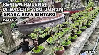 REVIEW KOLEKSI GALERI 