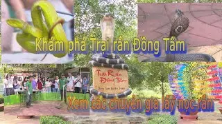 Khám phá trại rắn Đồng Tâm - xem lấy nọc rắn