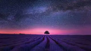 Tick Tock(Tom Misch) - Arrange