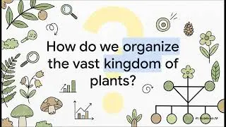 THE PLANT KINGDOM  | Evolution & Classification | NCERT Biology | NEET 2026