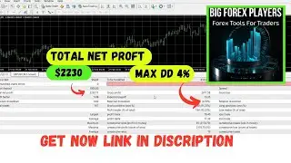 Big Forex Players EA V3.1 MT4 Review & 99% OFF Deal | EA99Store Forex Expert Advisor