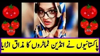 Pakistani Funny Boycott Video on  Indian Tomatoes || Pakistani Boycott Indian Tomatoes