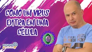 Formas de Reprodução dos Vírus I Parte 02/06
