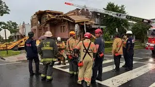 Rescue dog searching building collapse site