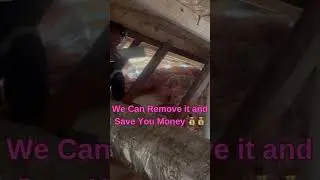 Remove the old or damaged Insulation with ease!