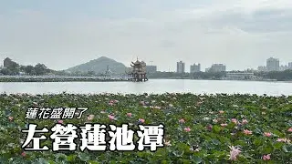 左營蓮池潭, 蓮花盛開！五里亭360度環繞視野 (Lianchitan ~ Lotus Lake)