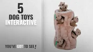 Top 5 Dog Toys Interactive [2018 Best Sellers]: Hide a Squirrel Fun Hide and Seek Interactive Puzzle