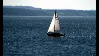 Piratian Boats