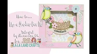 Shadow Box с использованием кубика из La La Land Crafts