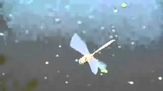 Dragonflies Inspire Better Robot Vision