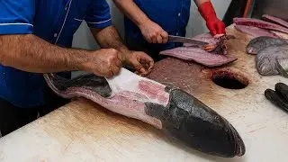 How to Skin and Fillet a Cobia Like a Fishmonger