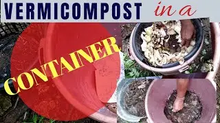 Complete GUIDE On How To Make VERMICOMPOST at HOME Using Old Container: Part 1 / Organic Gardening