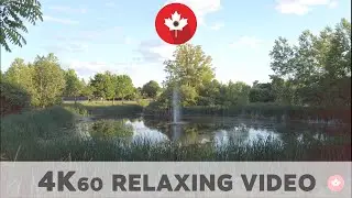 Ottawa Centrepointe Park Relaxing Video Natural Sound | 19 June 2021| 4K UHD 60fps
