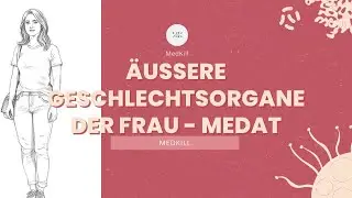 &Auml;u&szlig;ere Geschlechtsorgane der Frau MedAT 2026 - MEDKILL