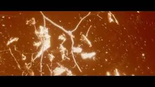 Distant Edge - With You (Official Audio)